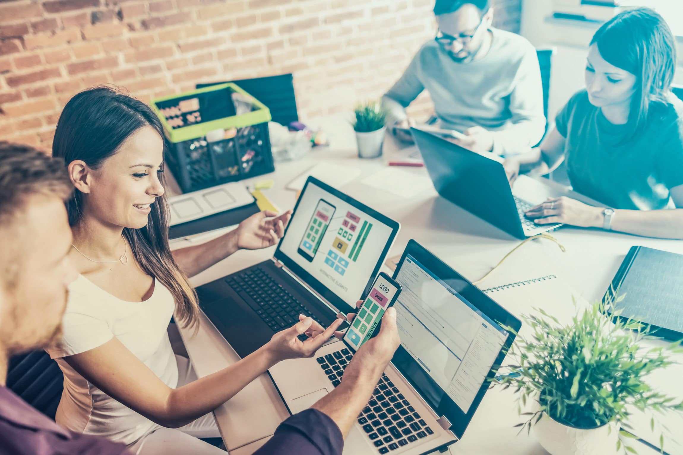 4 Skills to Look For in a Top Notch Web Designer