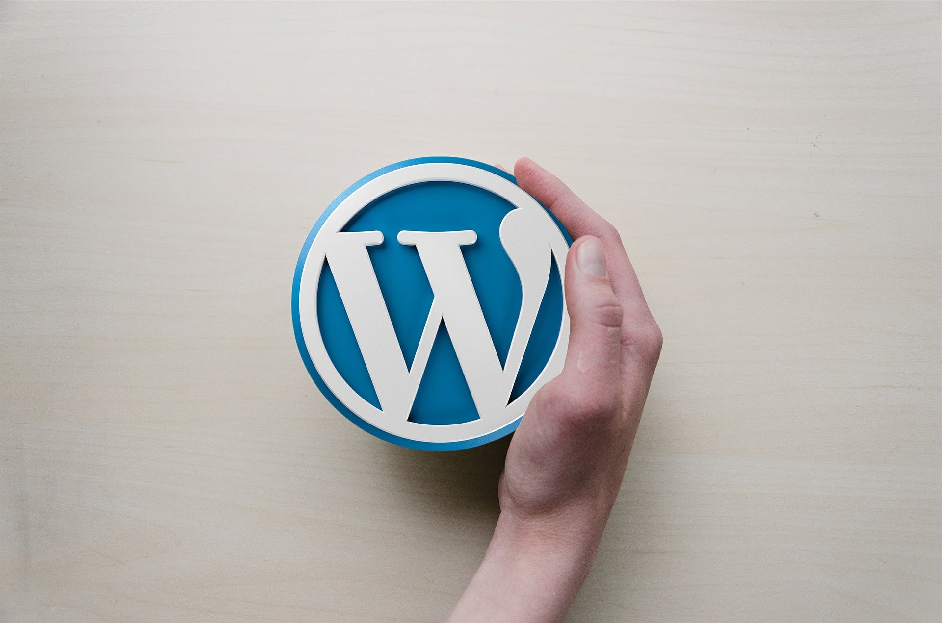 The 5 Best WordPress Plugins for Your Website